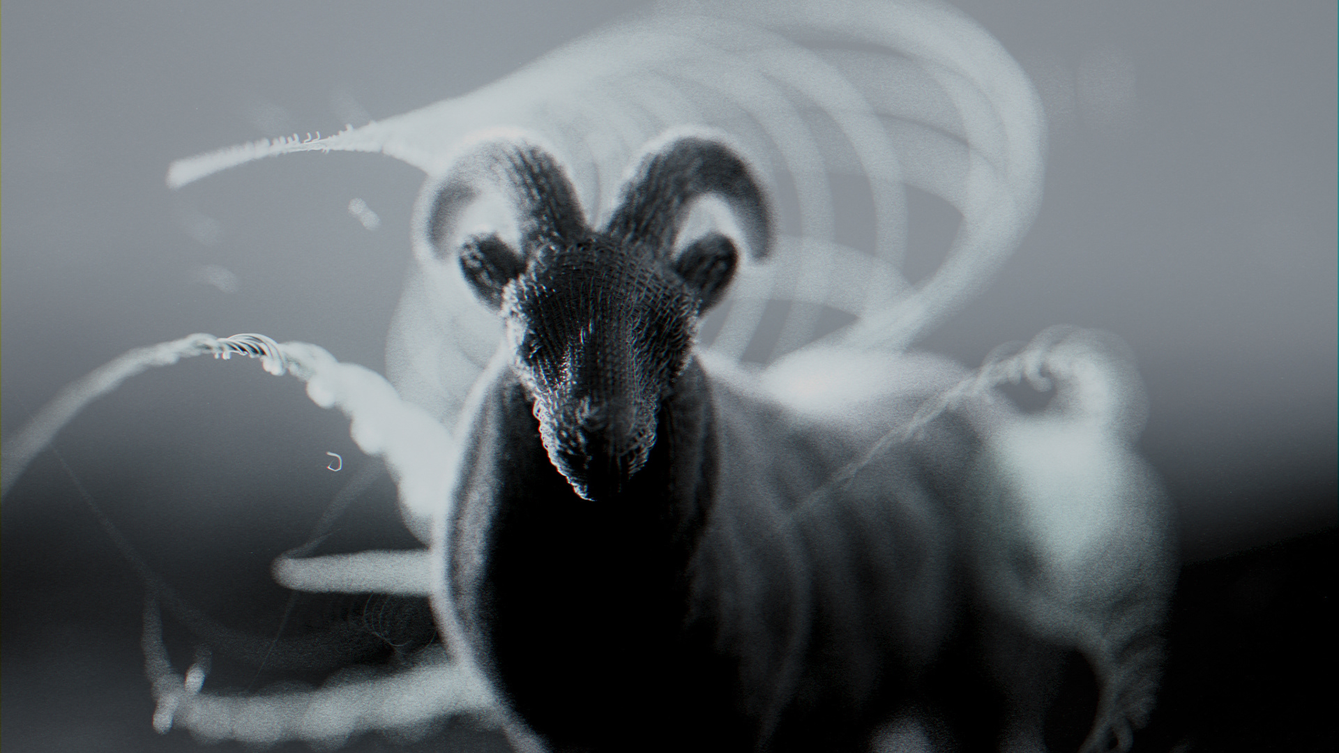 GOAT THE LEGEND – Cinematic Logo Animation for Clothing Brand by Radhesh krishna, a nominee on Motion Design Awards