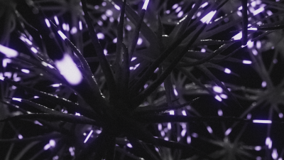 Still image of it's all the same network by Ethan Cohen