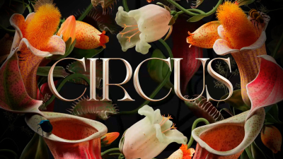 Still image of Circus Brand Film by TAVO STUDIO