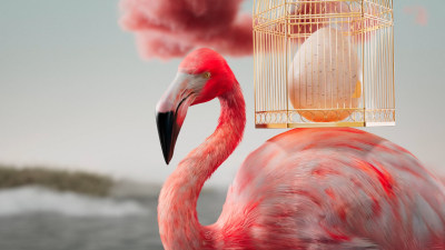 Still image of Circus Brand Film by TAVO STUDIO