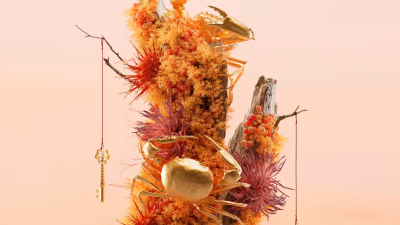 Still image of Circus Brand Film by TAVO STUDIO