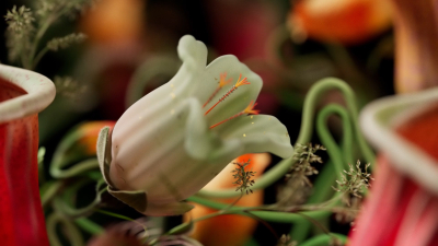 Still image of Circus Brand Film by TAVO STUDIO