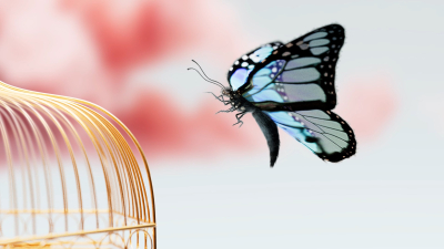 Still image of Circus Brand Film by TAVO STUDIO