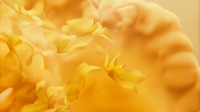 Still image of Karmeliet Grand Cru - Director´s Cut by TAVO STUDIO