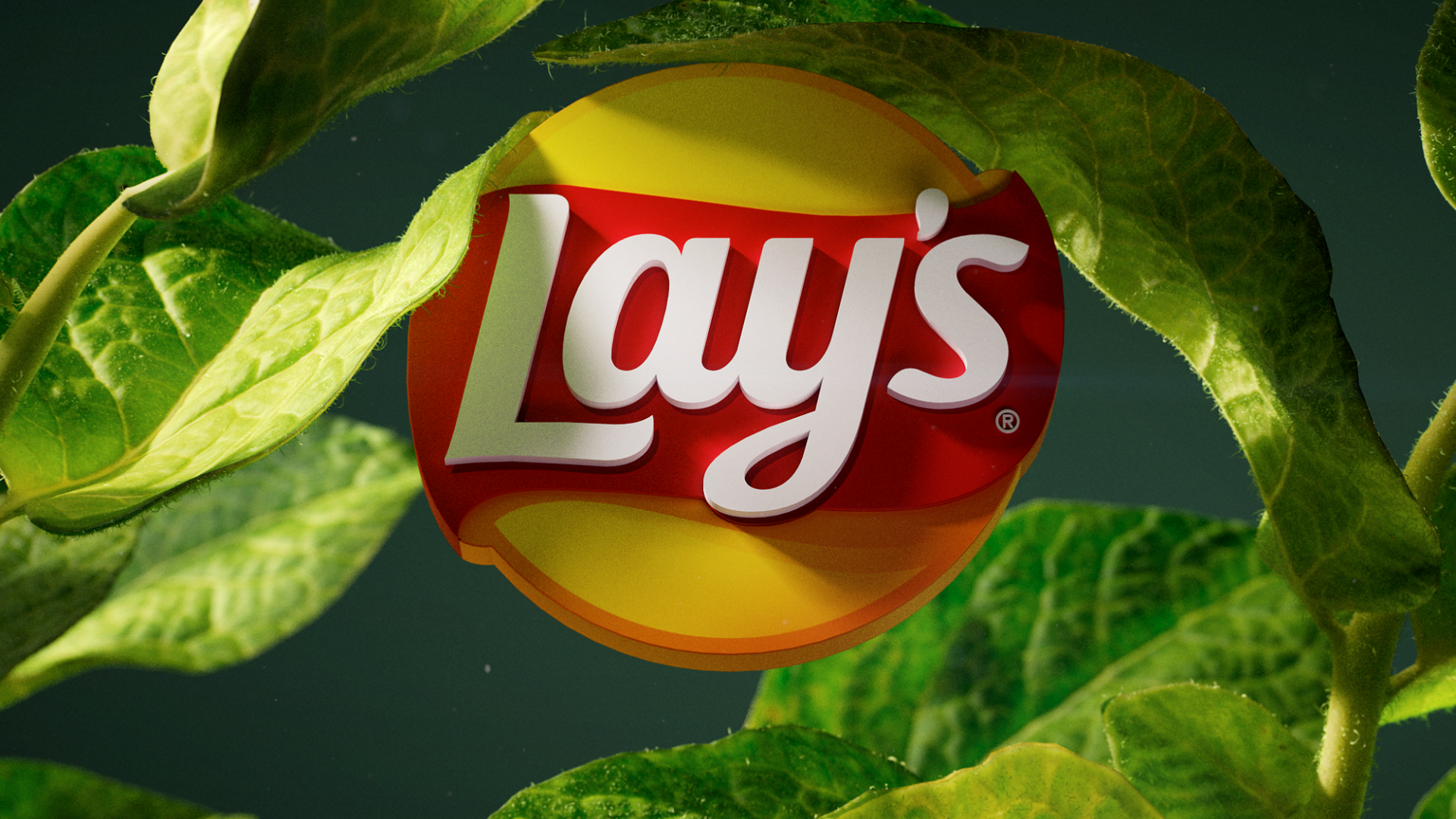 Lay's Salted by Widepix, a nominee on Motion Design Awards