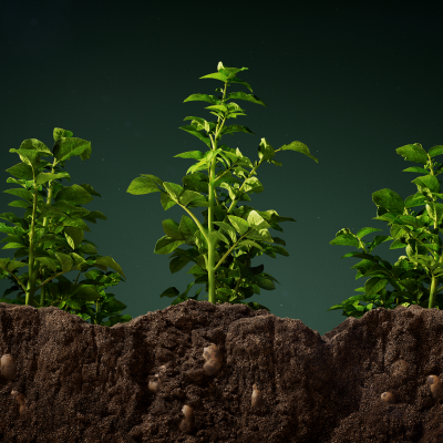 Still image of Lay's Salted by Widepix