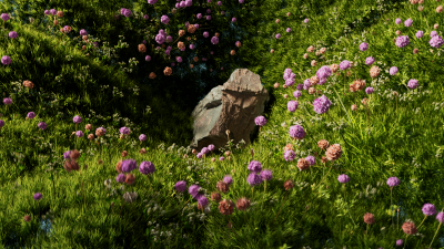 Still image of Forever Green – The Creative Loop by Zyxel