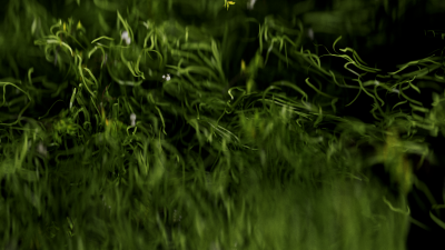 Still image of Forever Green – The Creative Loop by Zyxel
