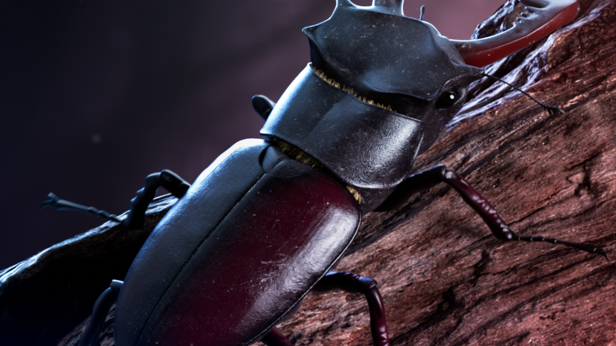 Pausefest 2021 - Changes by Geert van Hooff, a nominee on Motion Design Awards