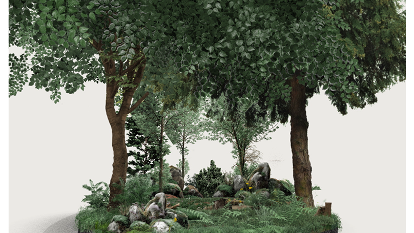 DECATHLON | MOTION DESIGN | What do you know about biodiversity ? by Solene Bureau, a nominee on Motion Design Awards