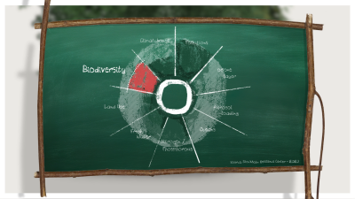 Still image of DECATHLON | MOTION DESIGN | What do you know about biodiversity ? by Solene Bureau