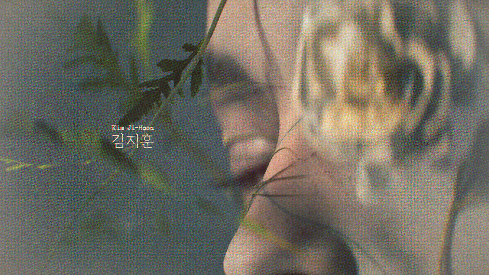 The Fruit of My Woman Title Sequence by Xinyue (Casey) Gu, a nominee on Motion Design Awards