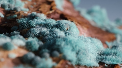 Still image of Visual ASMR by Onesal Studio