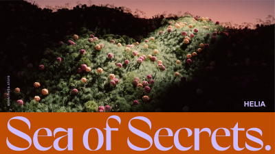 Still image of HELIA - Branding & Animation by CLIM STUDIO