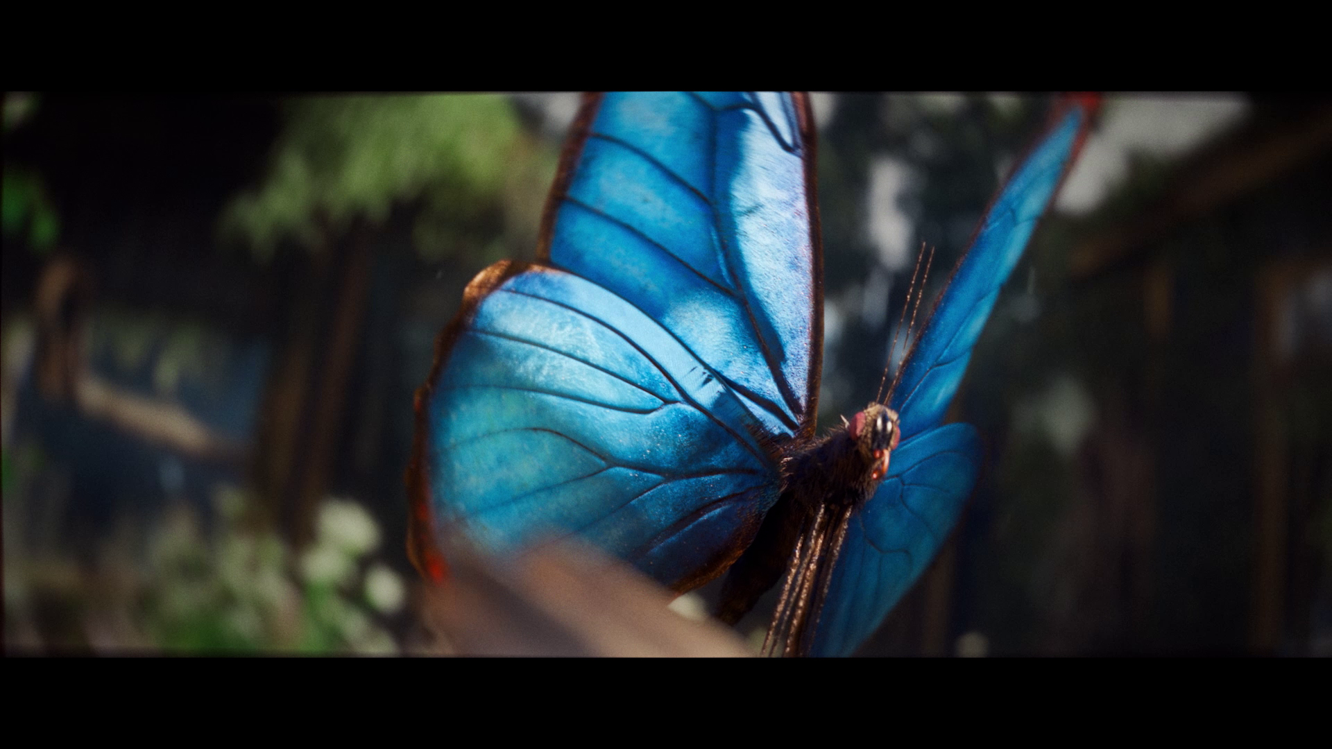 LAVI - Titli (Official Music Video) by Illucus.film, a nominee on Motion Design Awards