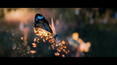 Still image of LAVI - Titli (Official Music Video) by Illucus.film