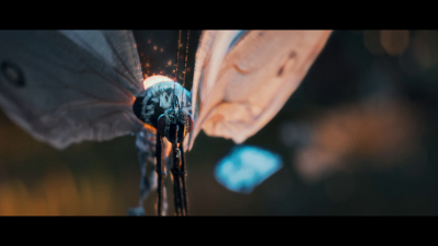 Still image of LAVI - Titli (Official Music Video) by Illucus.film