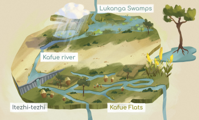 Still image of WWF - Lukanga Swamps by Hound Studio