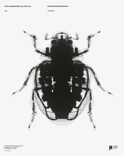 Still image of Artifex Creatura by joanmoreno.tv