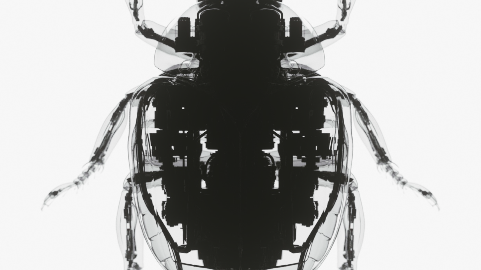 Artifex Creatura by joanmoreno.tv, a nominee on Motion Design Awards