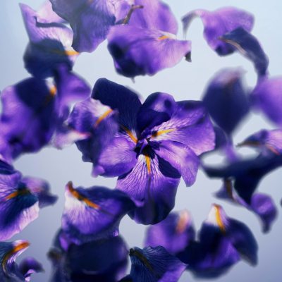 Still image of Flow by EFEX / Thomas Stocker