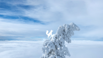 Still image of Happy New Year 2022 by Melanie Gohin