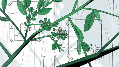 Still image of Z song by Melanie Gohin