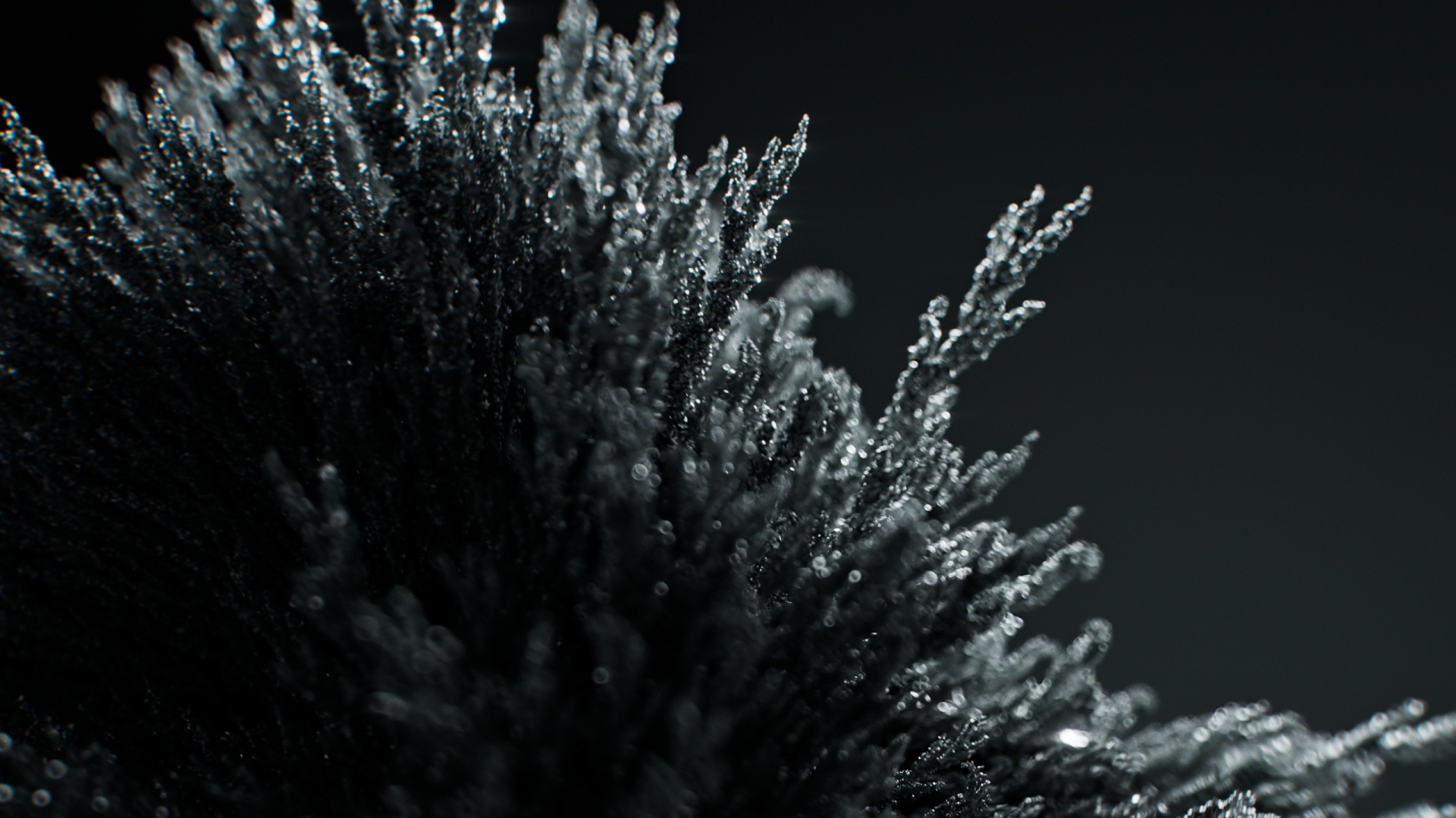 IWC - Ingenieur by Roman Kaelin, a nominee on Motion Design Awards