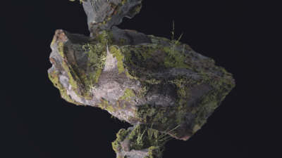 Still image of SCARPA — Ribelle Tech 2.0 by Subdivision Studio