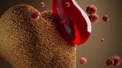 Still image of Carnilove - INTO THE WILD - 3D Commercial by Barthes