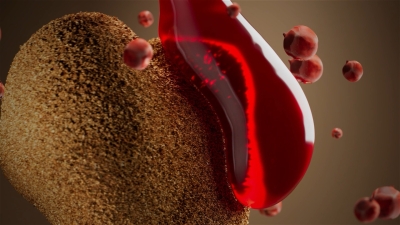 Still image of Carnilove - INTO THE WILD - 3D Commercial by Barthes