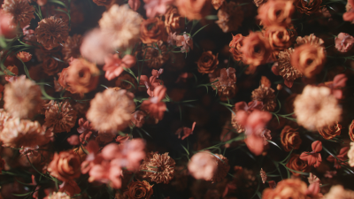 Still image of Brizo - Jason Wu by Carbon