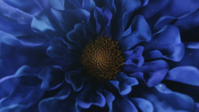 Still image of Brizo - Jason Wu by Carbon