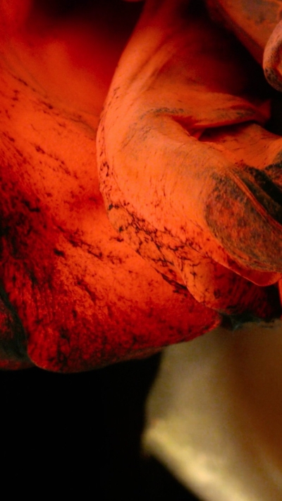 Still image of Landfill by Plexus Motion