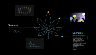 Still image of Eybna by illo