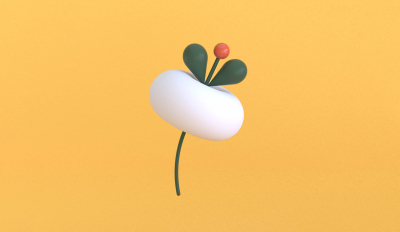 Still image of Ikebana by illo