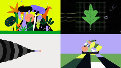 Still image of illo x nature.org — Biodiversity by illo