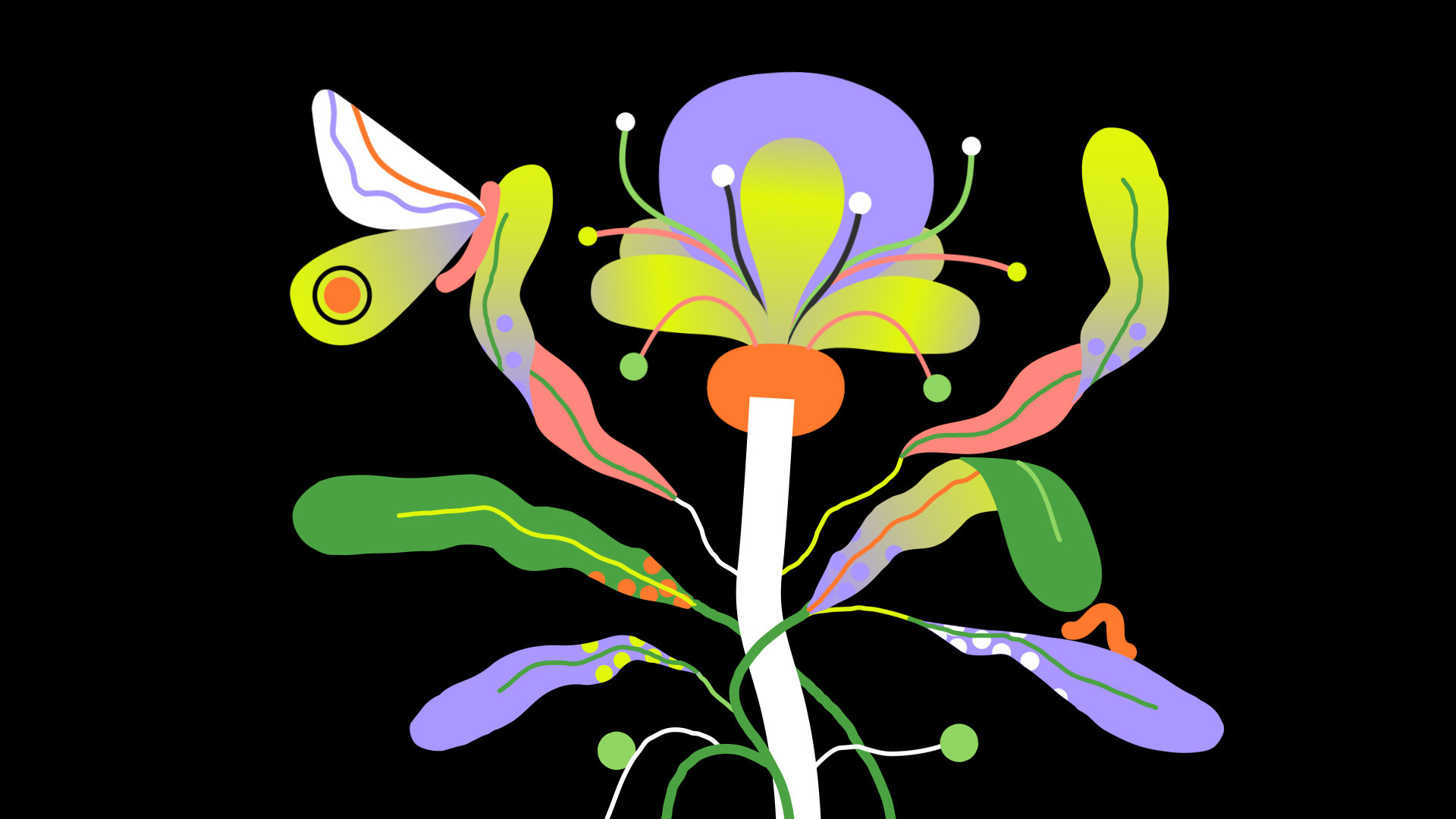 illo x nature.org — Biodiversity by illo, a nominee on Motion Design Awards