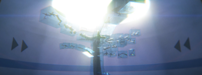 Still image of The Untranslatable Forest by Ivan Miguel