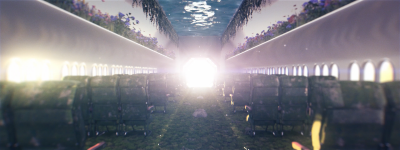 Still image of The Untranslatable Forest by Ivan Miguel