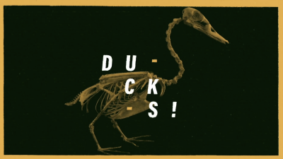 Still image of FEdUp_We are ducks by Ivan Miguel