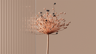 Still image of Refracted - Film by Hup.Studio