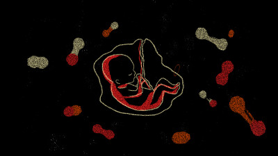 Still image of Spiritual Birth by Melinda Mouzannar