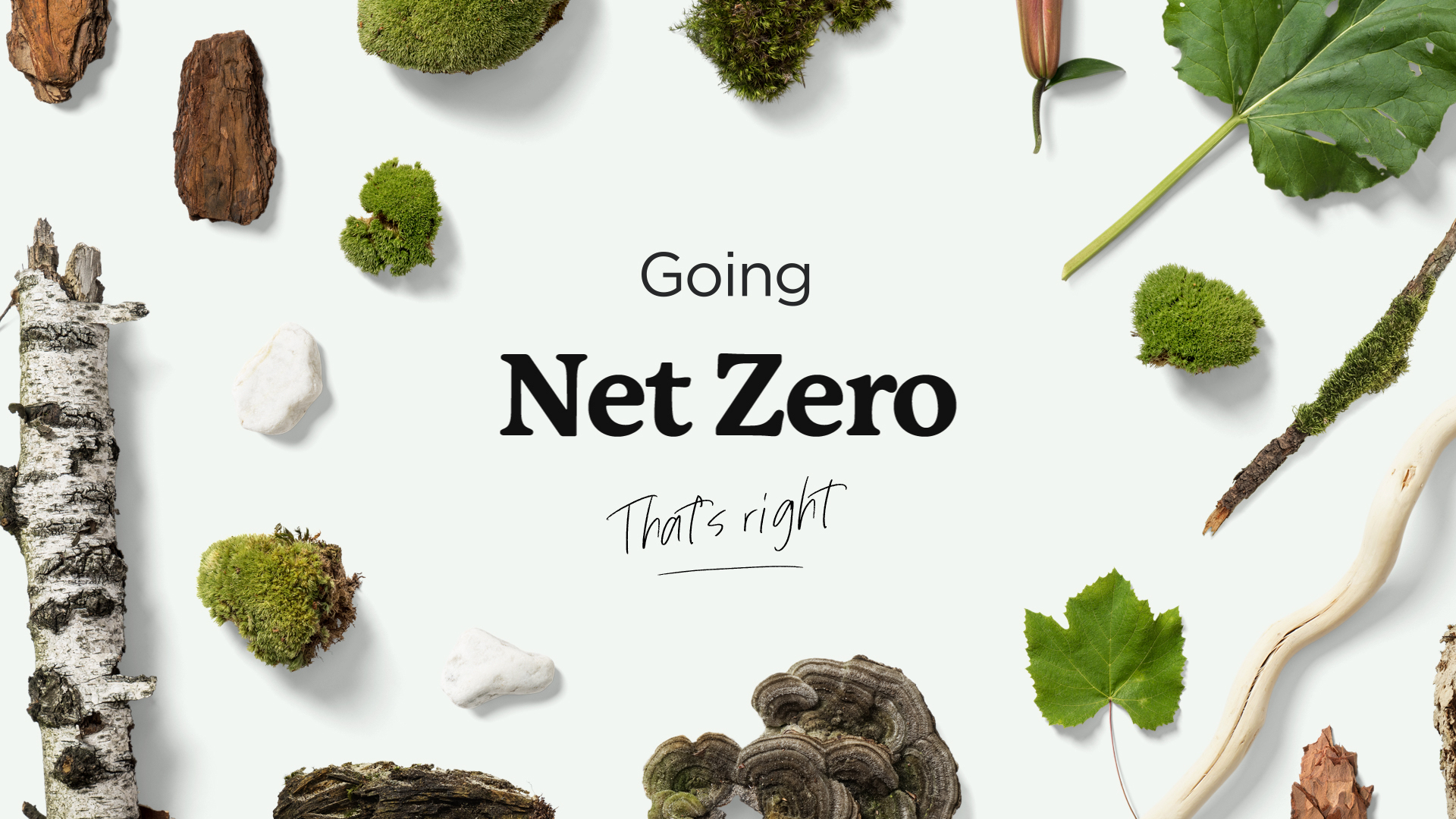 Edge — Net Zero by PlusOne®, a nominee on Motion Design Awards