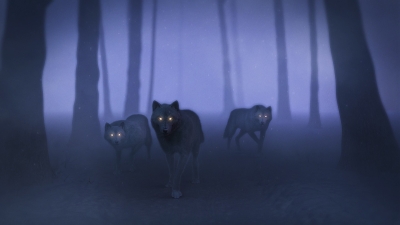 Still image of THE WANDERER by Savva Tsekmes