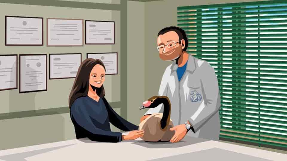 Vet boroschek spot by draff studio, a nominee on Motion Design Awards
