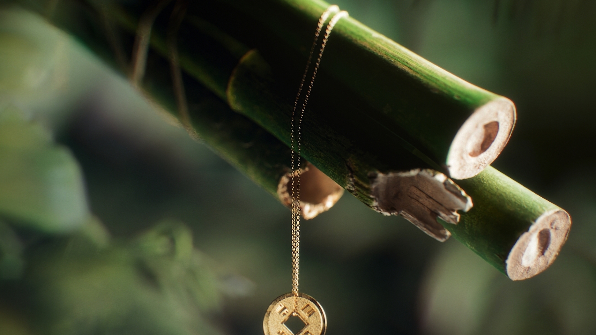 Golden Bamboo by Benoit Huguet, a nominee on Motion Design Awards