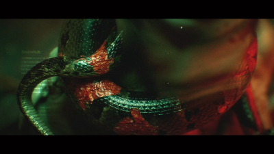 Still image of "SINS" by YETI PICTURES