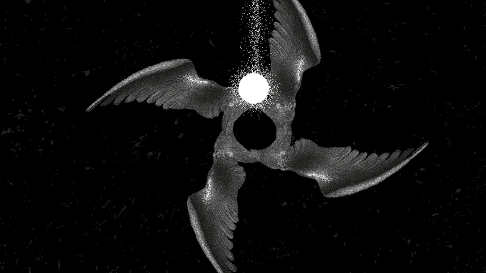 Coil — The Wheel by asta antohina, a nominee on Motion Design Awards