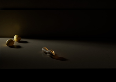 Still image of Shaped by Nature. The Pebbles Collection by Dan Alexander + Co.